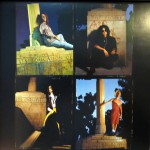 Been Caught Stealing Limited Edition 12" Vinyl Insert 3