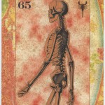 A Cabinet Of Curiosities Limited Edition Eric Tarot Card