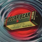 Polar Bear (Chewing Gum) Cover
