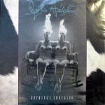 Nothing's Shocking Vinyl Cover