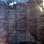 Nothing's Shocking Vinyl Insert Front