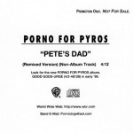 Pete's Dad 95 Cover