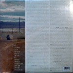 Strays Vinyl Back