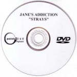 Strays Promo DVD