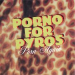 Porn Again Back
