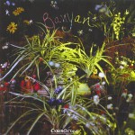 Banyan Cover