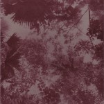 Deadicated Limited Edition Promo Back