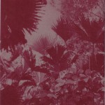 Deadicated Limited Edition Promo Booklet Back
