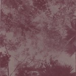 Deadicated Limited Edition Promo Inside