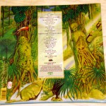 Deadicated Vinyl Back