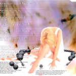 Fallen Angel Import Back