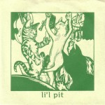Li'l Pit Cover