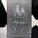 Sterling Spoon Nothing's Shocking Cover